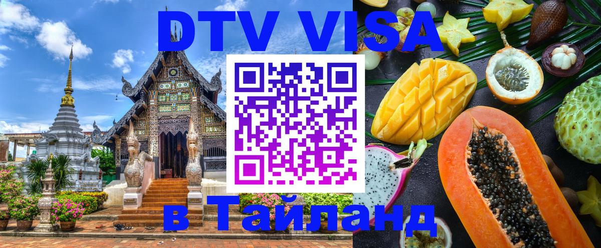 Оформление DTV визы под ключ: стоимость и тарифы, только загранпаспорт - 